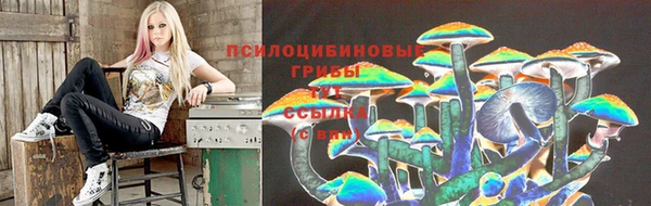 Альфа ПВП Белокуриха