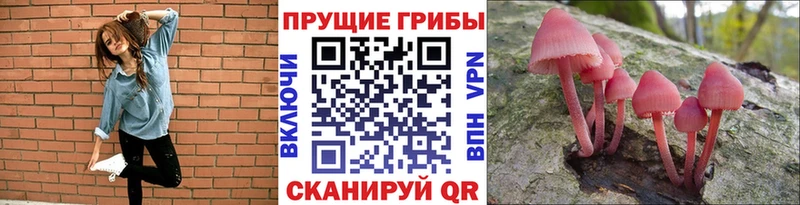 Галлюциногенные грибы мицелий  Буйнакск 